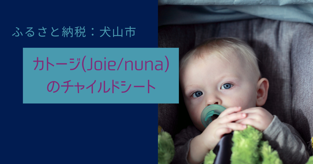 ふるさと納税 犬山市 カトージ Joie Nuna のチャイルドシート ミカエル成長記